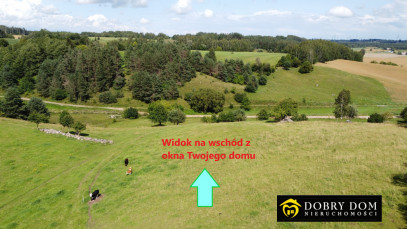 Działka 3000m2 Suwałki — zdjęcie od frontu