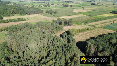 Działka 3000m2 Złotoria — zdjęcie 7 z 18