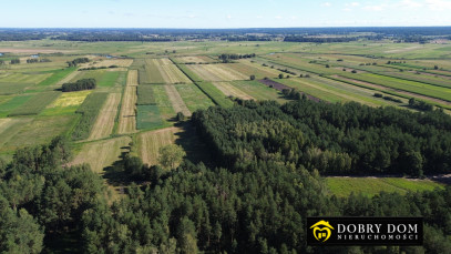 Działka 3000m2 Złotoria — zdjęcie 8 z 18