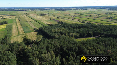 Działka 3000m2 Złotoria — zdjęcie 9 z 18