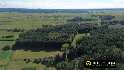 Działka 3000m2 Złotoria — zdjęcie 10 z 18
