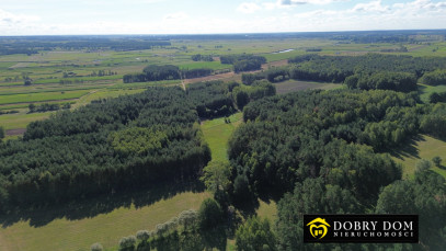 Działka 3000m2 Złotoria — zdjęcie 11 z 18