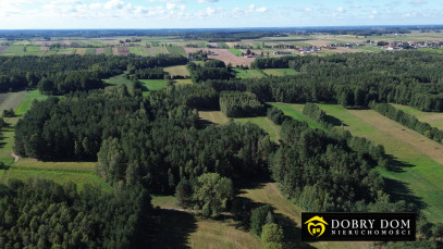 Działka 3000m2 Złotoria — zdjęcie 13 z 18
