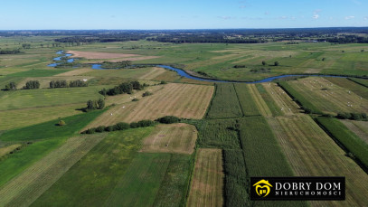 Działka 3000m2 Złotoria — zdjęcie 6 z 18