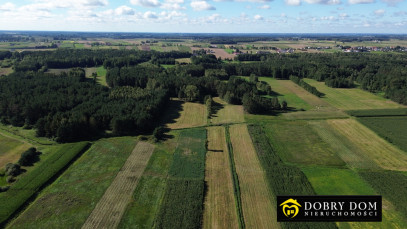Działka 3000m2 Złotoria — zdjęcie 14 z 18