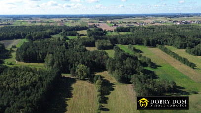 Działka 3000m2 Złotoria — zdjęcie 16 z 18