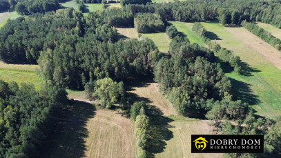 Działka 3000m2 Złotoria — zdjęcie 17 z 18