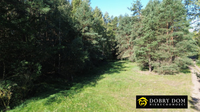 Działka 3000m2 Złotoria — zdjęcie 18 z 18