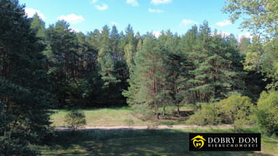 Działka 3000m2 Złotoria — wnętrze 3