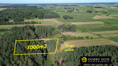 Działka 3000m2 Złotoria — widok główny