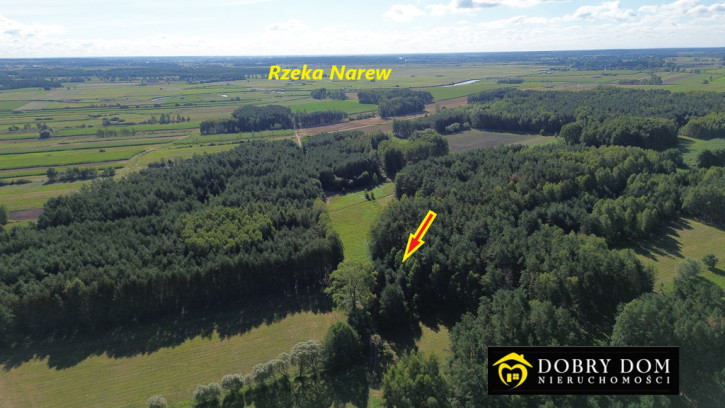 Działka Sprzedaż Złotoria 5