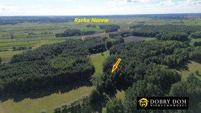 Działka 3000m2 Złotoria — zdjęcie 5 z 18
