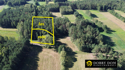 Działka 3000m2 Złotoria — zdjęcie od frontu