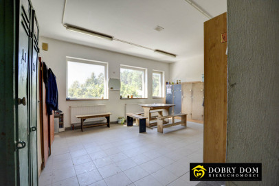 Obiekt 1746m2 Ogrodniczki — zdjęcie 9 z 13