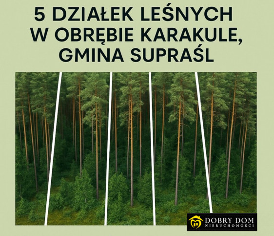 Działka Sprzedaż Karakule 1