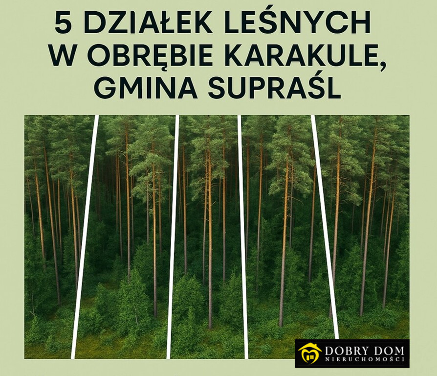 Działka — Karakule