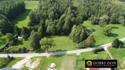 Działka 18308m2 Stożne — wnętrze 2