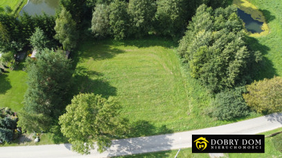 Działka 18308m2 Stożne — wnętrze 3