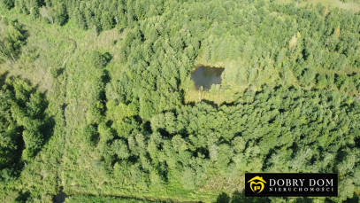 Działka 18308m2 Stożne — zdjęcie 7 z 8