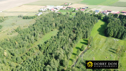 Działka 18308m2 Stożne — zdjęcie 8 z 8