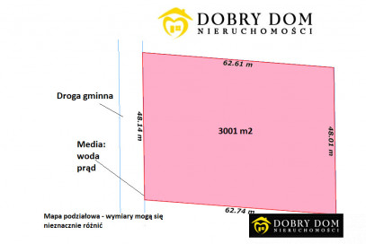 Działka 3000m2 Pasynki — widok główny
