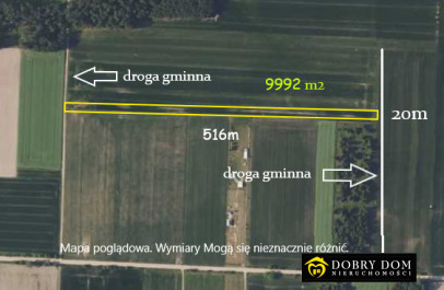Działka 9992m2 Tryczówka — widok główny