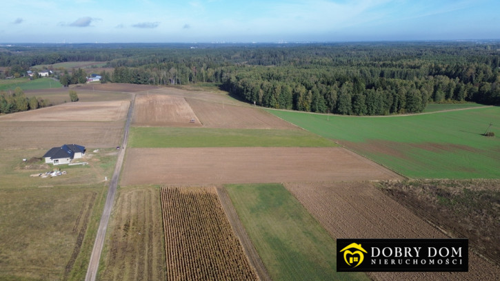Działka Sprzedaż Niewodnica Nargilewska-Kolonia 4