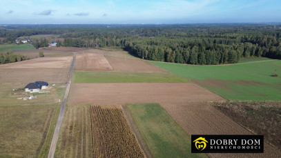 Działka 3000m2 Niewodnica Nargilewska-Kolonia — wnętrze 3