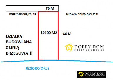 Działka 10100m2 Gorczyca — wnętrze 2