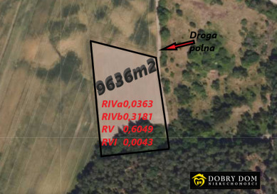Działka 9636m2 Jeżewo Stare — widok główny