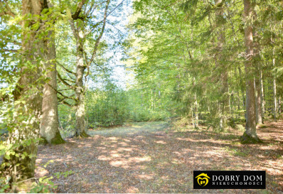 Dom 150m2 Topiło — zdjęcie 27 z 31