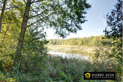 Dom 150m2 Topiło — zdjęcie od frontu