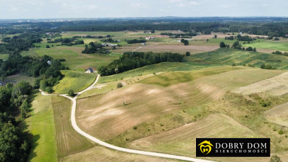 Działka 19478m2 Suwałki — zdjęcie 8 z 9