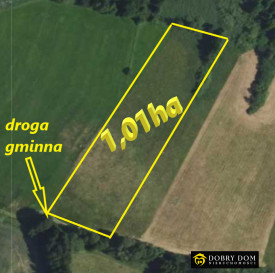 Działka 10100m2 Pieńki — widok główny