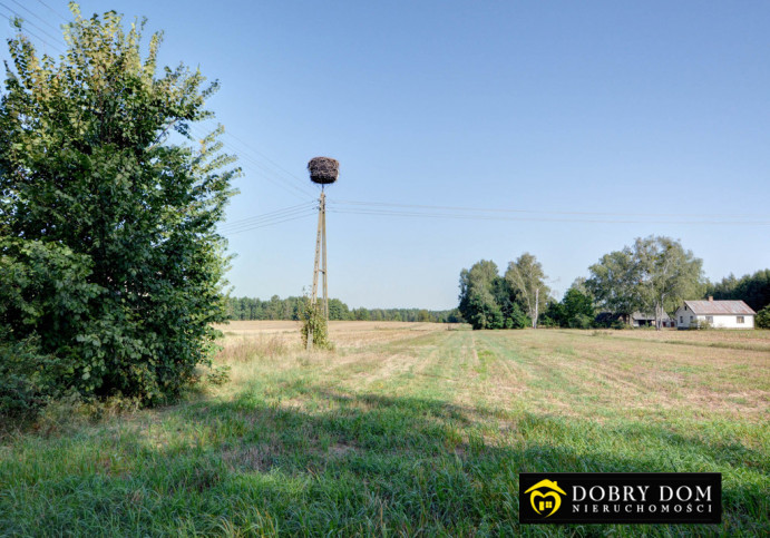 Dom Sprzedaż Złotoria 13