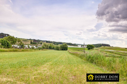 Działka 4241m2 Żegary — zdjęcie od frontu