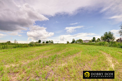 Działka 4241m2 Żegary — wnętrze 3