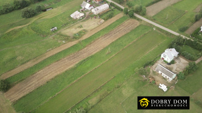 Działka 4241m2 Żegary — zdjęcie 8 z 8