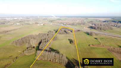 Działka 59500m2 Suwałki — wnętrze 2
