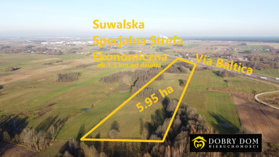 Działka 59500m2 Suwałki — widok główny