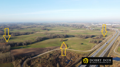 Działka 59500m2 Suwałki — zdjęcie od frontu