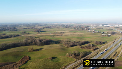 Działka 59500m2 Suwałki — zdjęcie 6 z 8