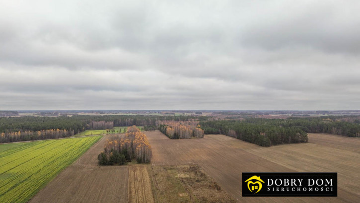 Działka Sprzedaż Zabłudów 3