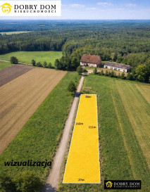 Działka 3000m2 Złotoria — widok główny