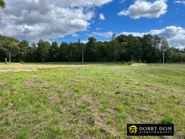 Działka 2900m2 Łapczyn — zdjęcie od frontu