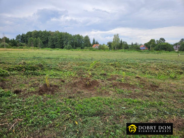 Działka 2900m2 Łapczyn — wnętrze 2