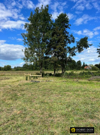 Działka 2900m2 Łapczyn — zdjęcie 5 z 5