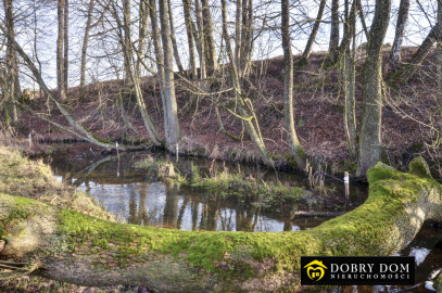Dom 48m2 Kropiwne Stare — zdjęcie 5 z 14