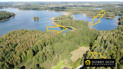 Działka 21277m2 Krzywe — zdjęcie od frontu