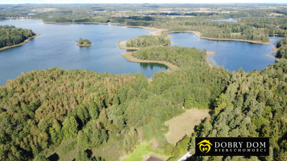Działka 21277m2 Krzywe — wnętrze 3